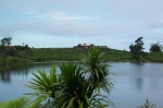 Kleiner See, Teeplantagen, Herrenhaus
