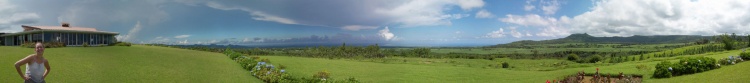 180-Grad-Blick nach der Teeprobe