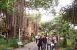 Jardin de la Compagnie